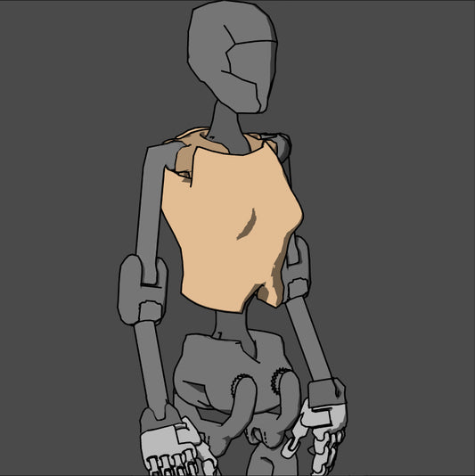 1:6 Torsos