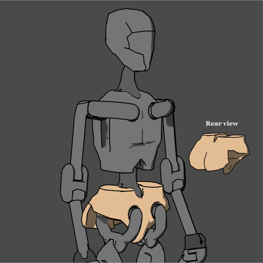 1:6 Pelvis