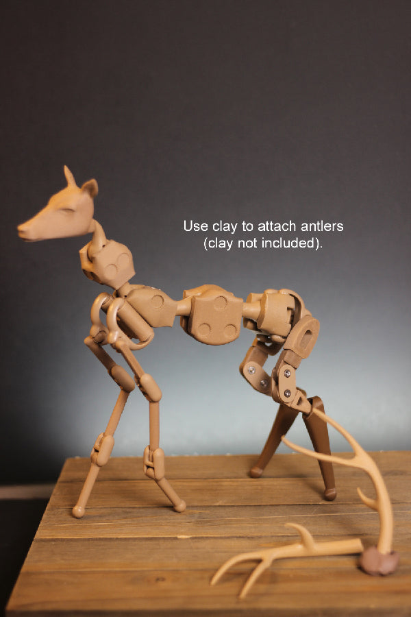 Deer