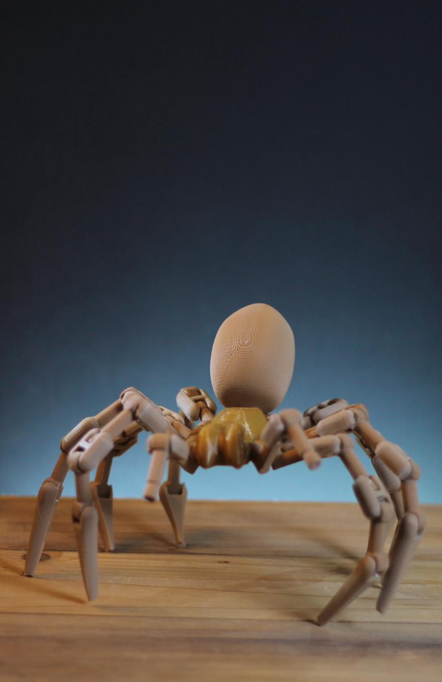 Arachnid (1:1 scale Goliath spider)