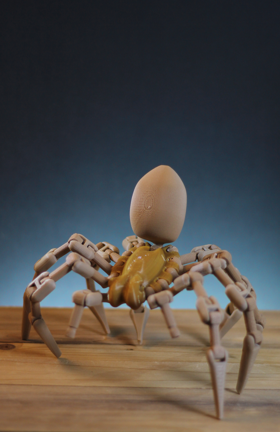 Arachnid (1:1 scale Goliath spider)