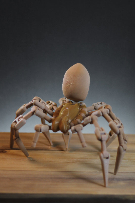Arachnid (1:1 scale Goliath spider)