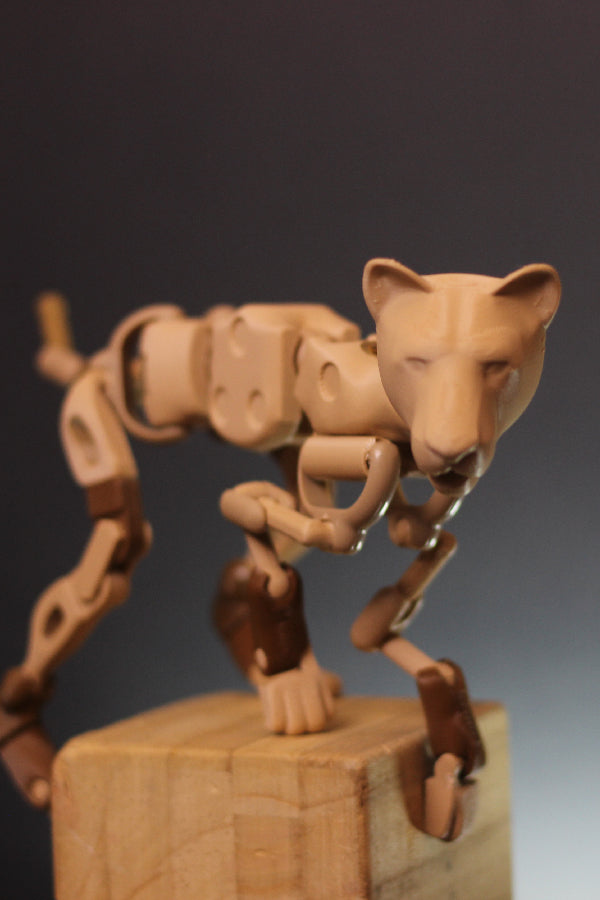 Quadruped (Felid)