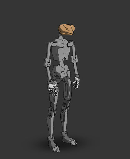 1:6 Head