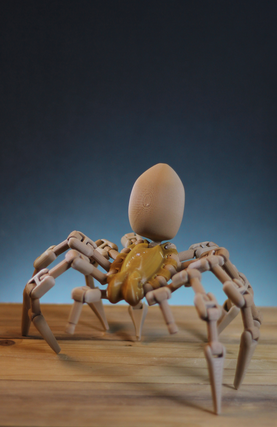 PREORDER Arachnid (1:1 scale Goliath spider)