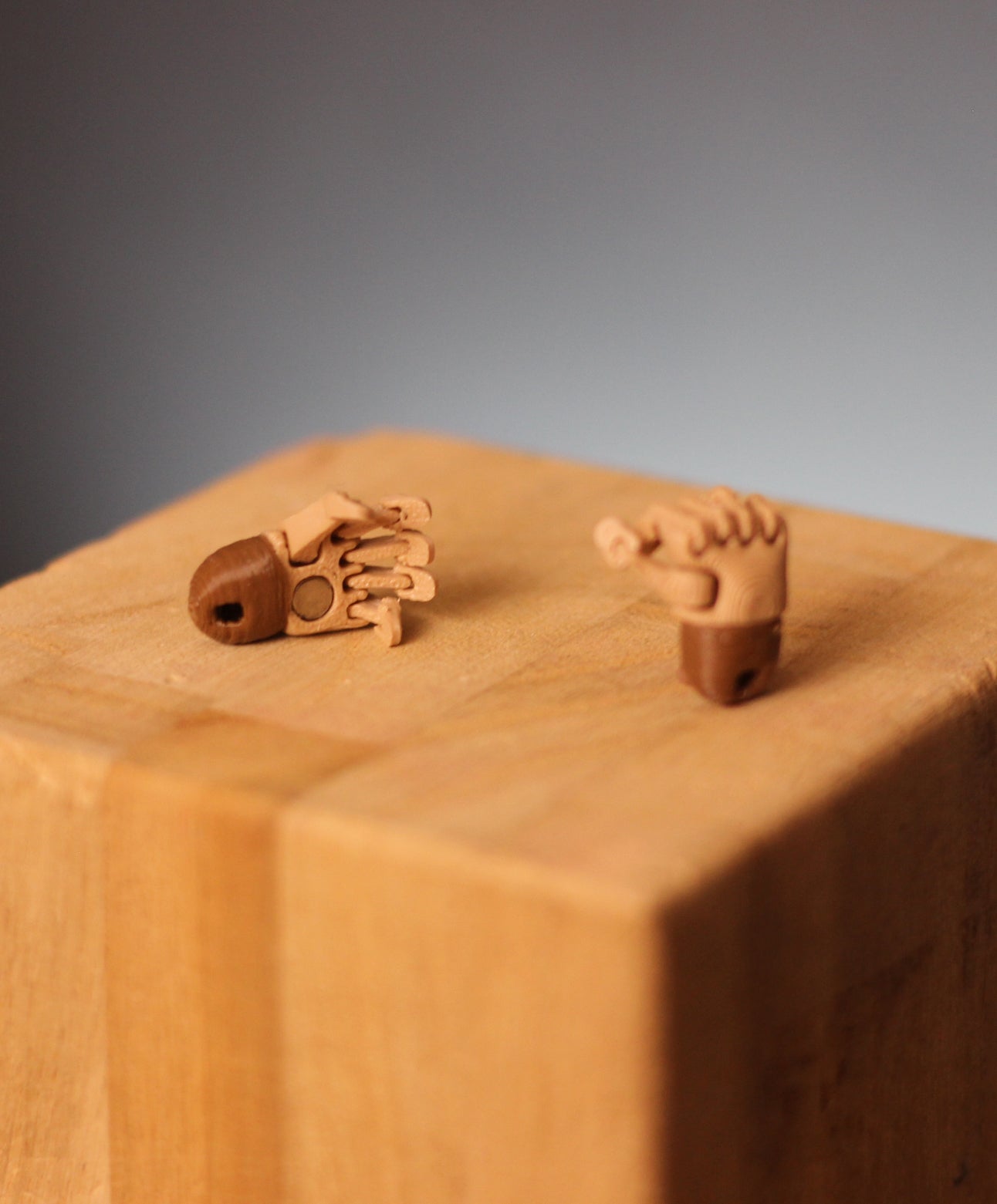 Articulated Hands