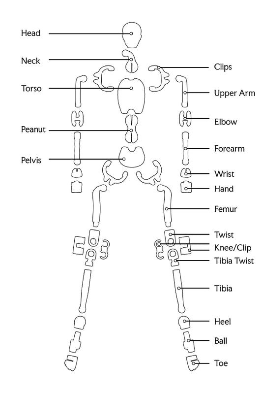 Ranger XY (KIT)